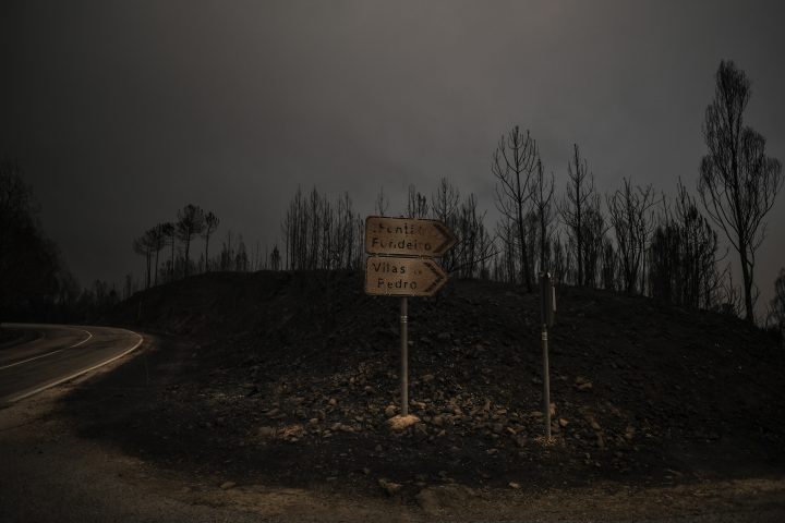 Patricia Melo Moreira-09